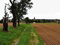 2016_kirchweg_4_mt.jpg