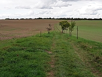 Testbild 2