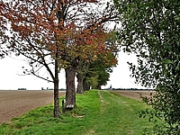 2016_kirchweg_3_mt.jpg